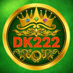 dk222 Game