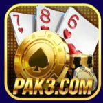 Pak3 Game