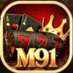 M91 Game