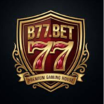B77 Game
